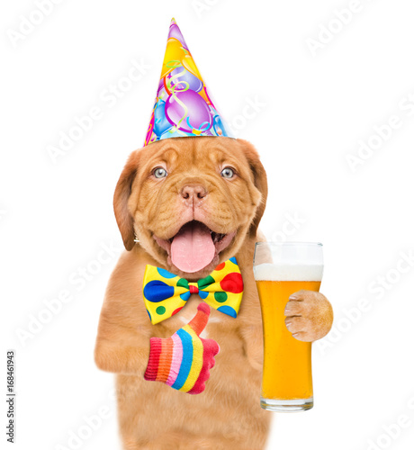 Dog in birthday hat holding glass of beer and showing thumbs up. isolated on white background