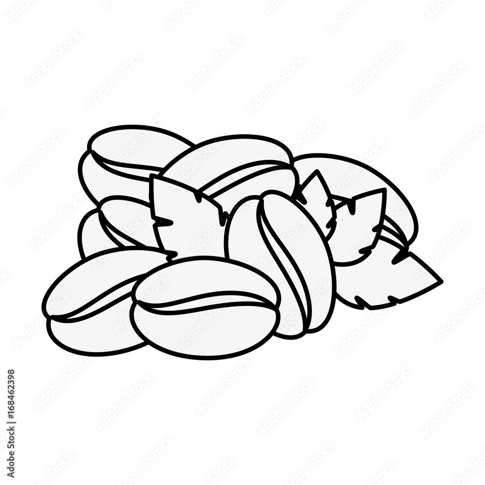 coffee bean and leaves icon over white background vector illustration coffee bean and leaves icon over white background vector illustration