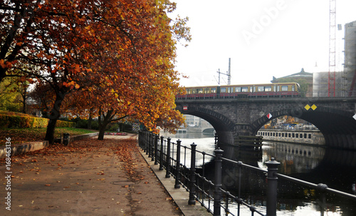 View landscape of garden with tramway networks in autumn time at public park in Berlin city