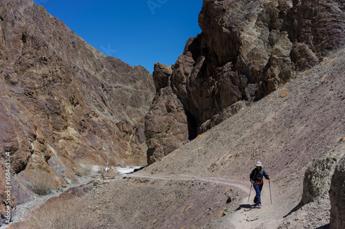 A woman treks on Markha valley trek route, Leh Ladakh, India