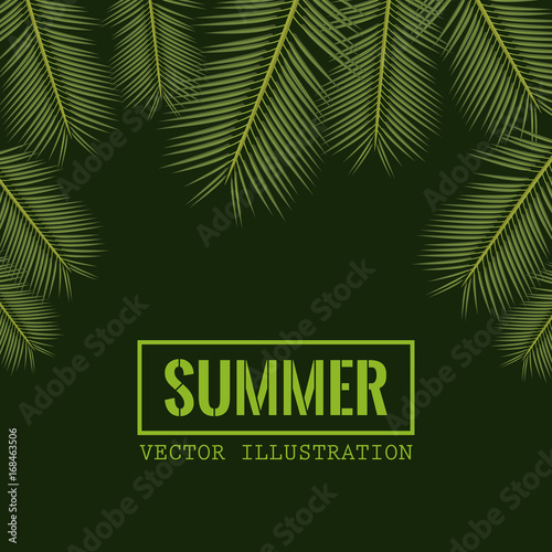 green color background with side border decorative palm leaves and rectangular frame with summer text vector illustration © Jemastock