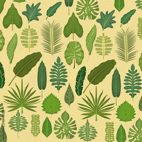 Wallpaper Mural pattern color set decorative of different types green leaves vector illustration Torontodigital.ca