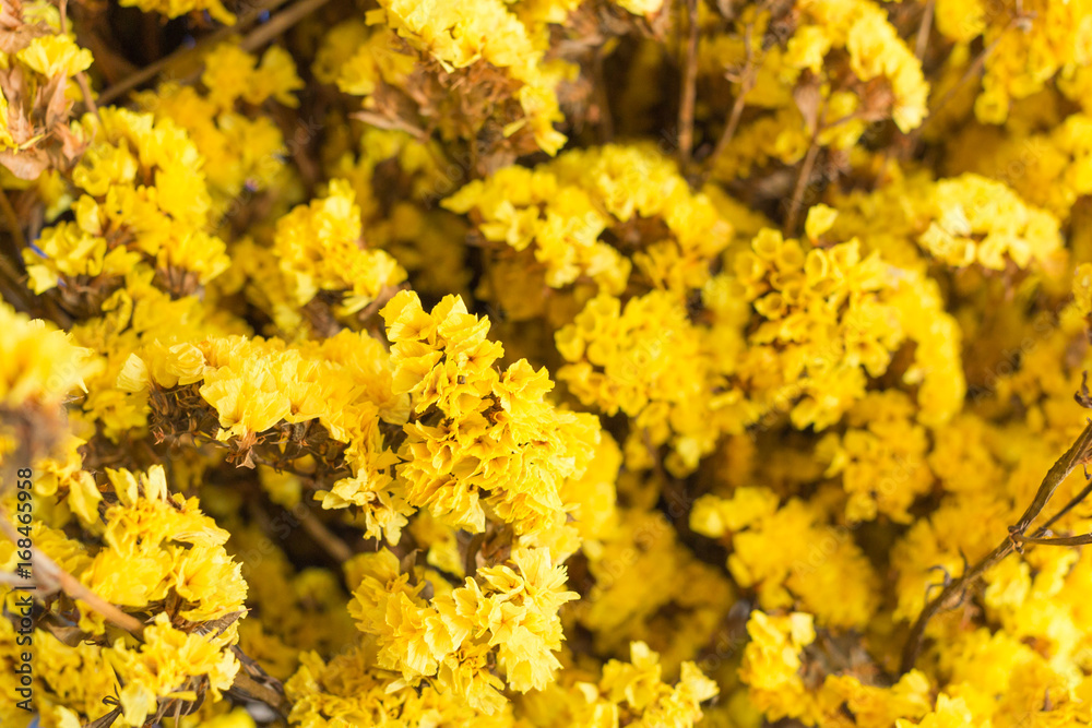 Close up Artificial yellow flowers Close up Artificial yellow flowers