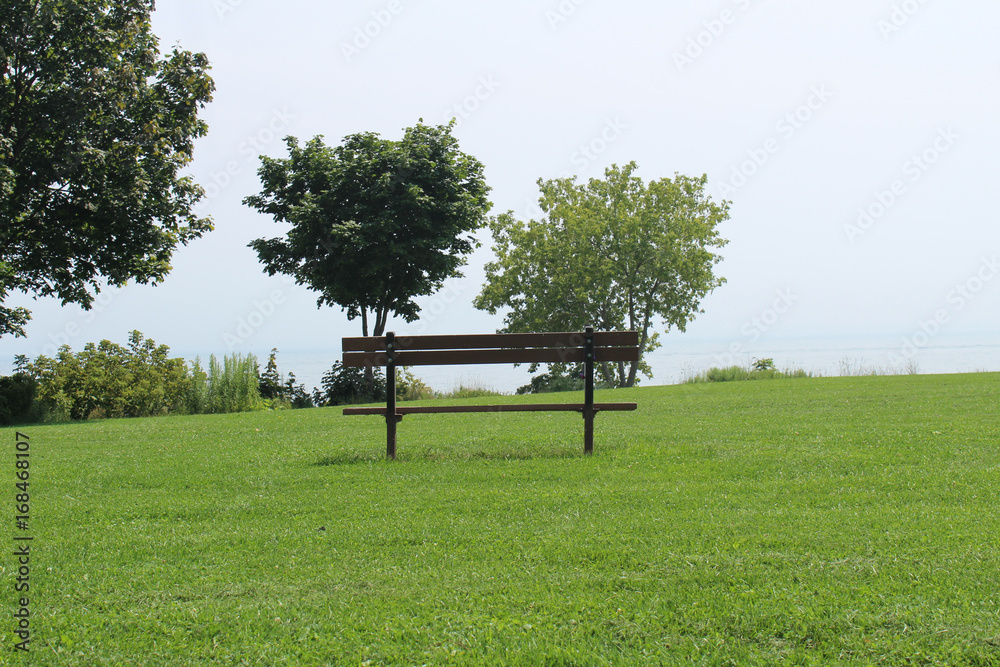 Park bench