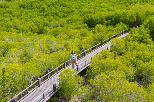 woman is walking in the ceriops tagal field photo