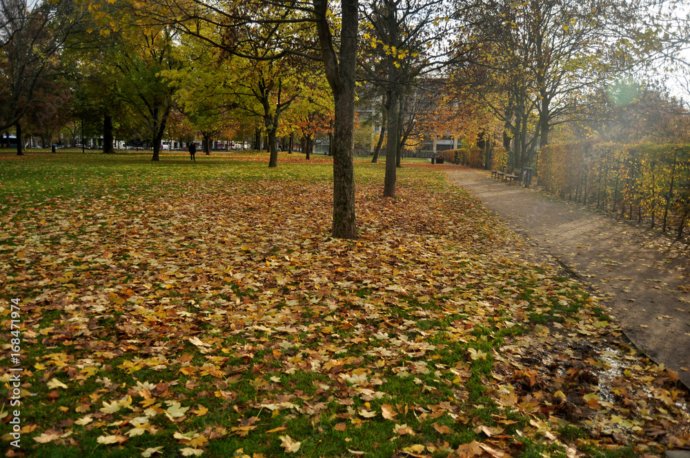 View landscape of garden and public park in autumn seasonal at Berlin city