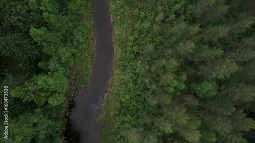 Small river in the woods of Swedish wilderness