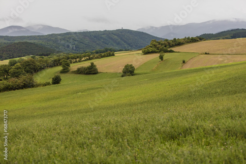 green valley landscape 