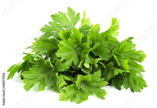 parsley bunch isolated on white background photo