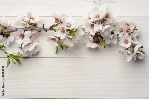 Fototapeta Naklejka Na Ścianę i Meble -  Flor del almendro sobre madera blanca