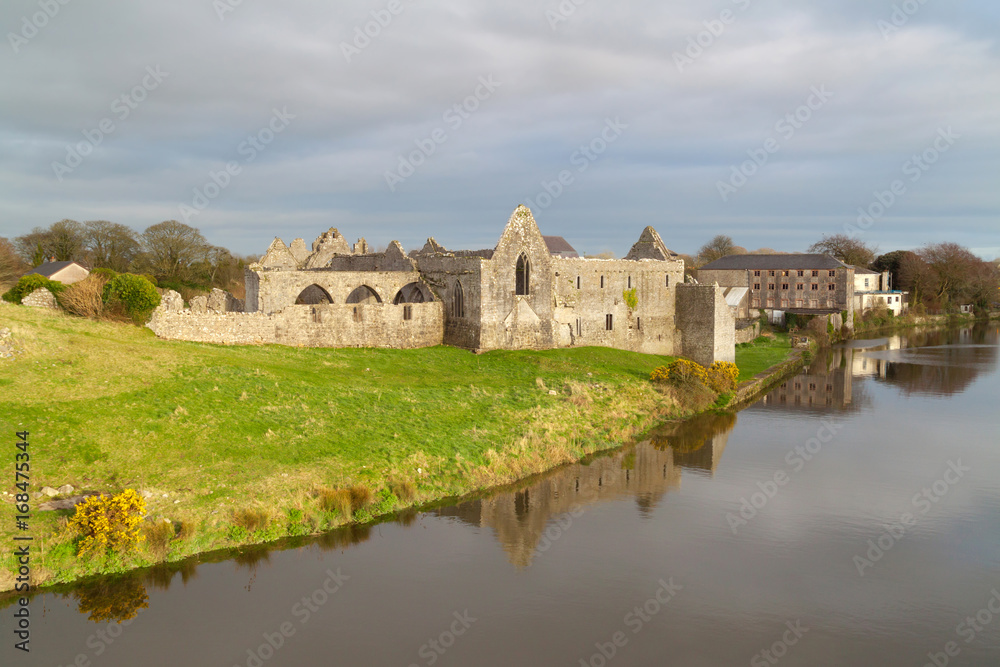 Franciscan Friary in Askeaton, Co. Limerick, Ireland