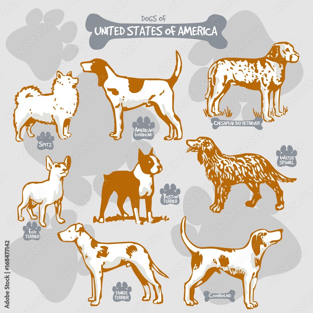 Dogs breeds of the world vector draw and shilouette on isolated ...