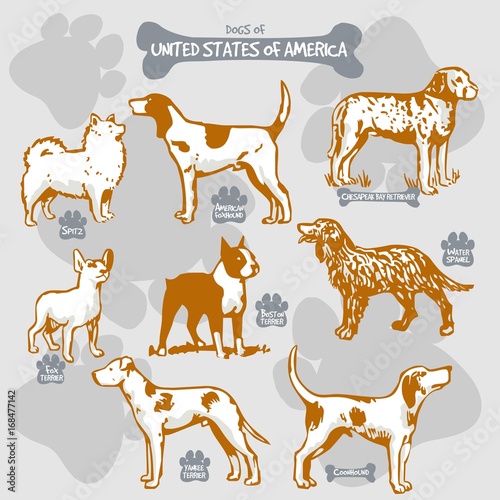 Dogs breeds of the world vector draw and shilouette on isolated illustration by countries with names, United States of America