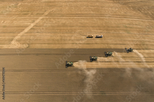 Harvester harvest ripe wheat photo