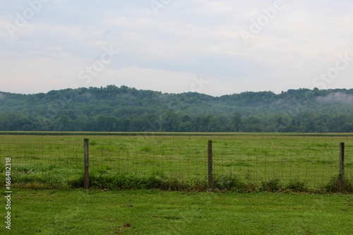 The green grass fields and pastures in the countryside. © Al