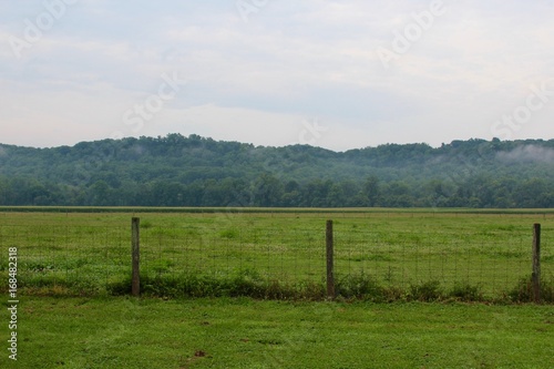 The green grass fields and pastures in the countryside.