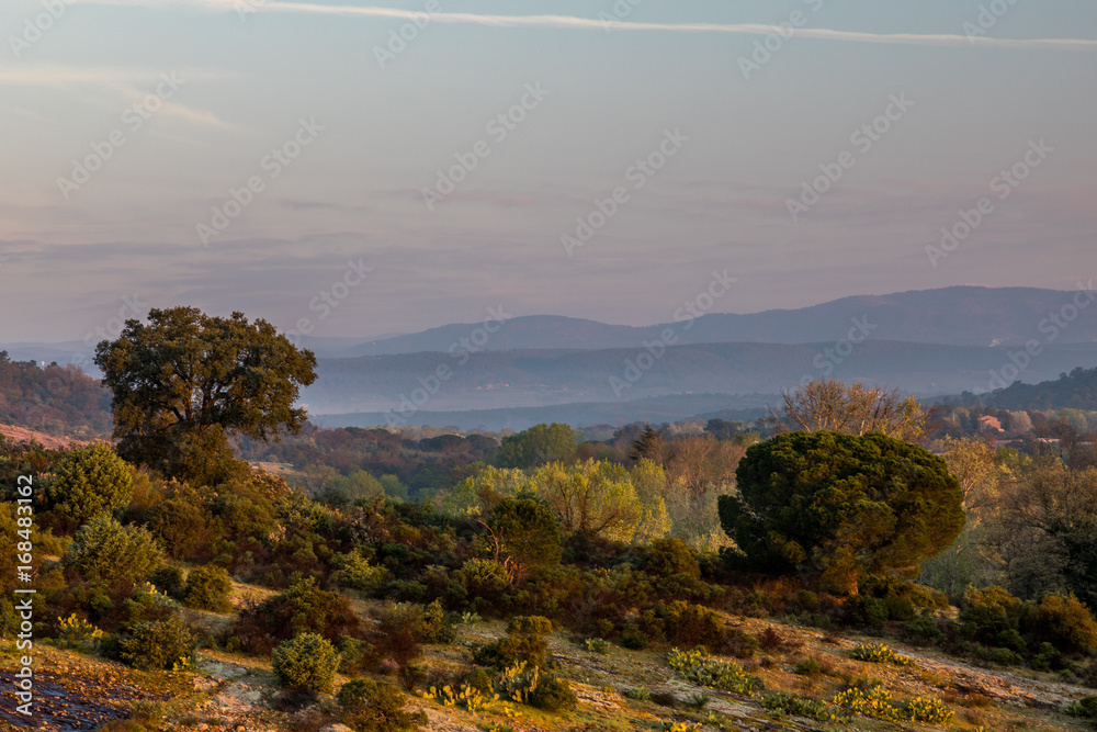 Ein Blick vom Rocher Roquebrune