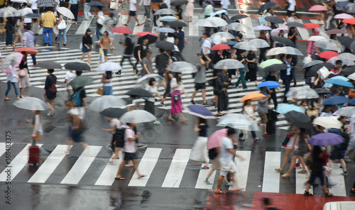 日本の東京都市風景・東京・渋谷のスクランブル交差点の雑踏（雨）