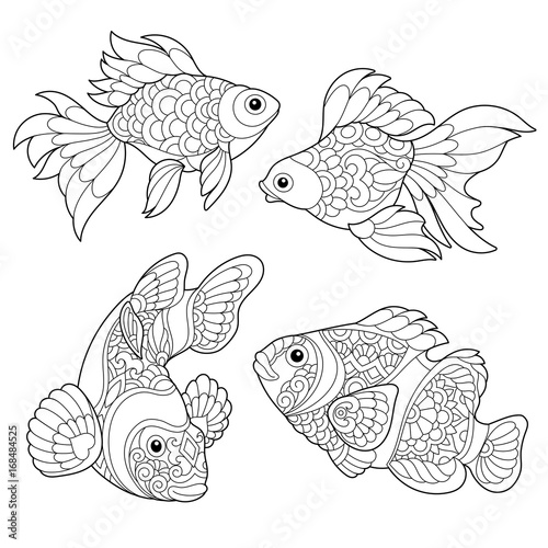 Coloring page of goldfish and clown fish. Freehand sketch drawing for adult antistress coloring book in zentangle style.