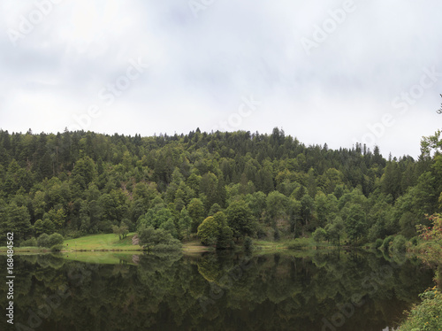 Am Nonnenmattweiher photo