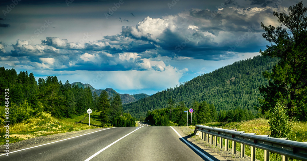 Empty road in altai mountains near meadow and coniferous forest Empty road in altai mountains near meadow and coniferous forest