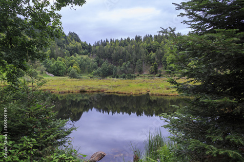 Am Nonnenmattweiher photo