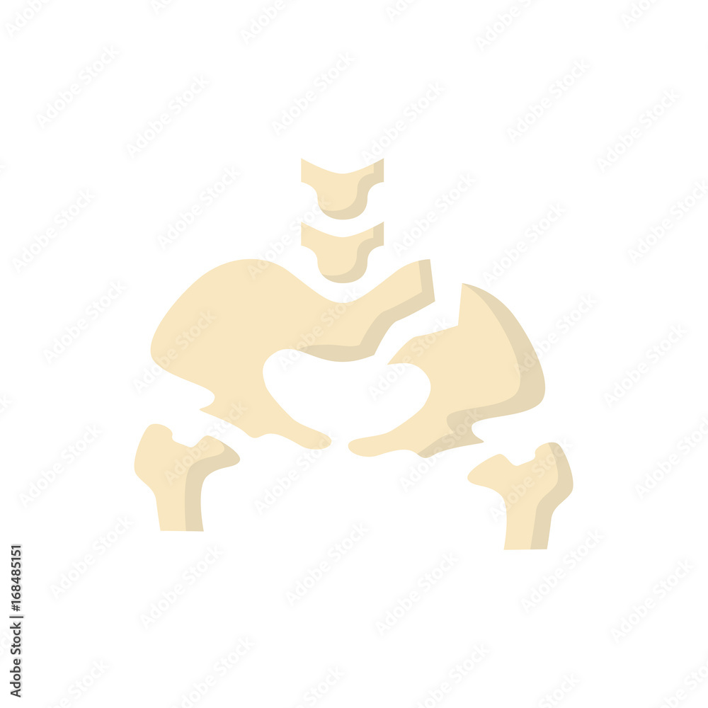 Broken Bones Human Body flat Icon pelvis