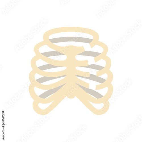 Broken Bones Human Body flat Icon ribs