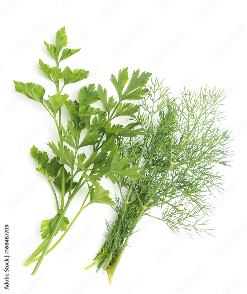Bunch of parsley and dill.