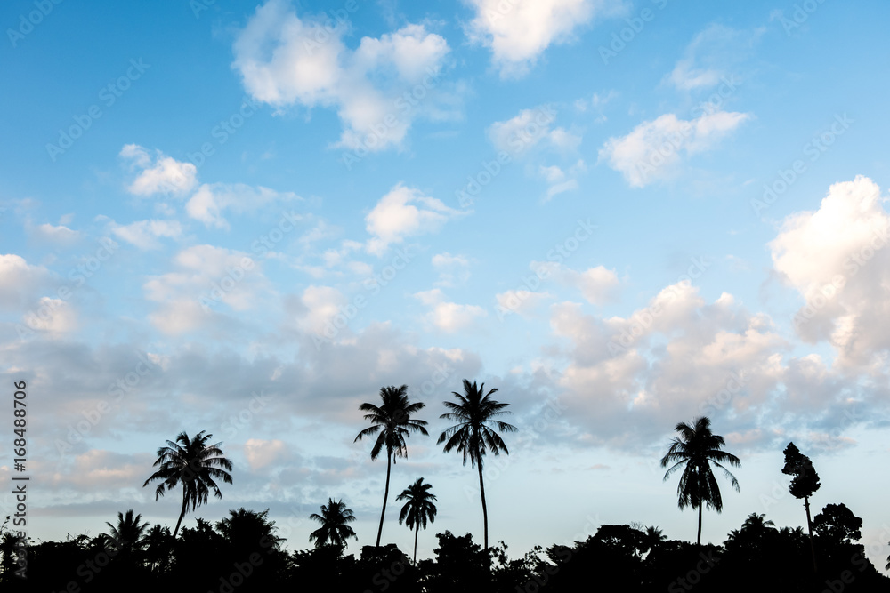 Silhouette of palm trees in beautiful blue sky.