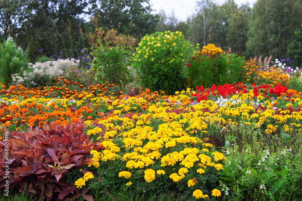 Herbstzeit - Blumen Herbstzeit - Blumen