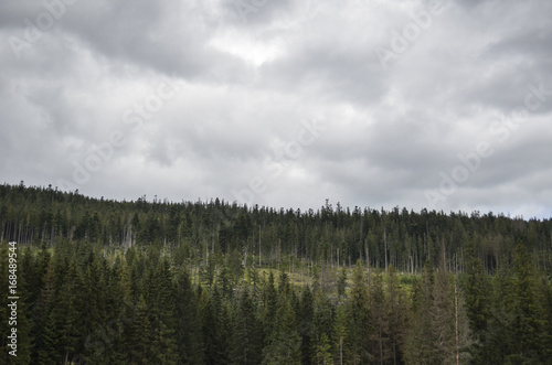 The Beautiful Zakopane, Poland.