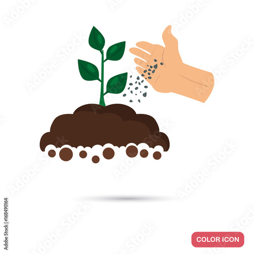 Putting fertilizer to the agriculture crop color flat icon for web and mobile design