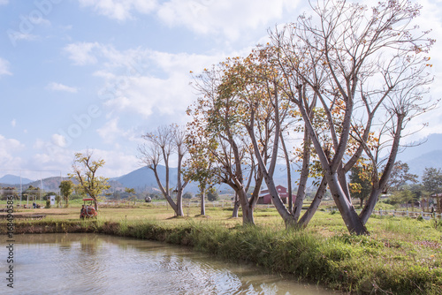 farm in Pai with blue sky © Lindsey