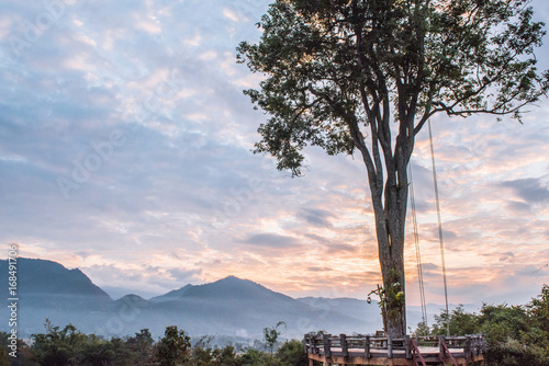 tree swing of Pai in sunrise
