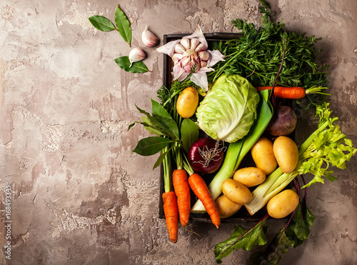 Fresh raw vegetable ingredients