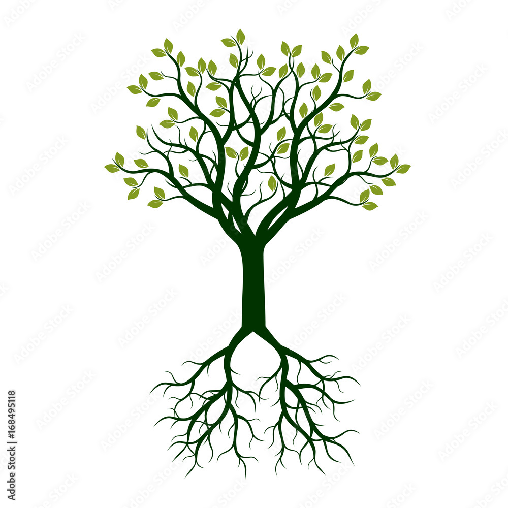 Color Tree with Roots. Vector Illustration.