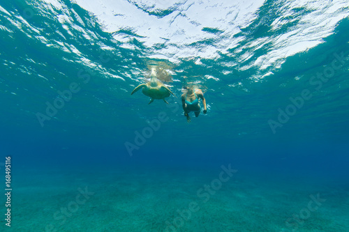 Snorkeling woman with hawksbill turtle, underwater photography.