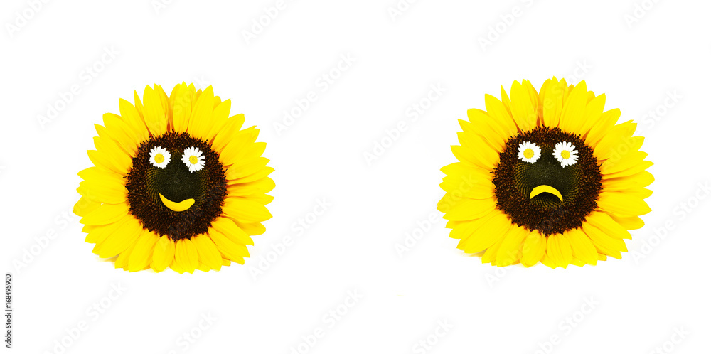 Fototapeta premium Sonnenblumen, Smiley, Smilies, Emojis, Sonnenblumen-Smilies, positiv, negativ, lachend, böse, Textraum, copy space, Banner, Header, Headline