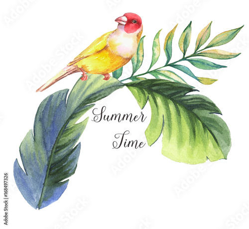 Cuadro en lienzo Hand drawn watercolor illustration of colorful finch bird with banana leaves iso