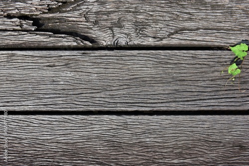 Old wooden texture background.