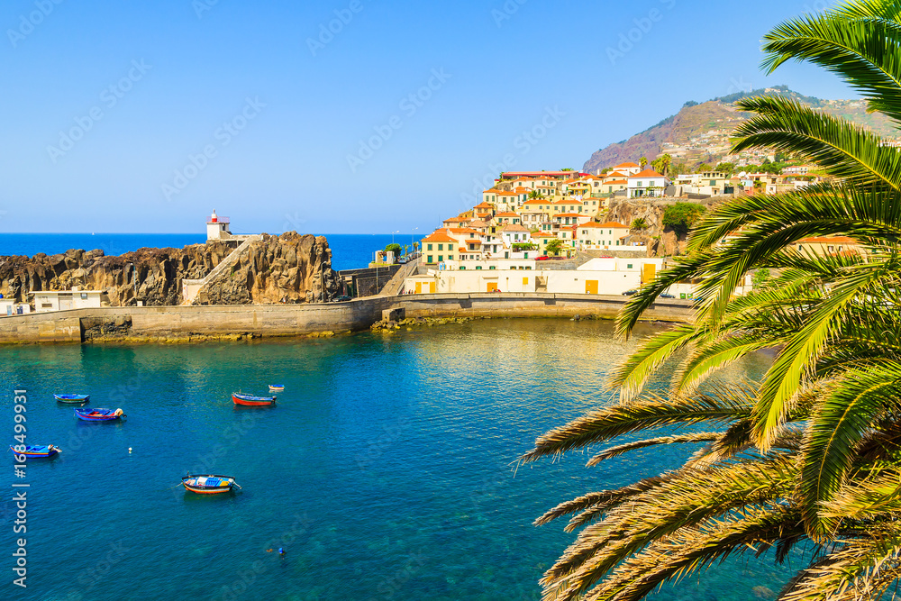 Colourful fishing boats on sea water in Camara de Lobos port with palm tree leaves in foreground, Madeira island