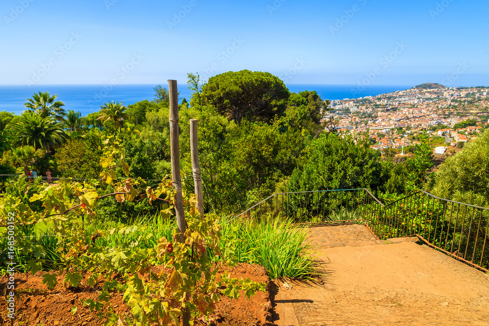 Φωτογραφία Path in botanical gardens of Funchal town, Madeira island, Portugal