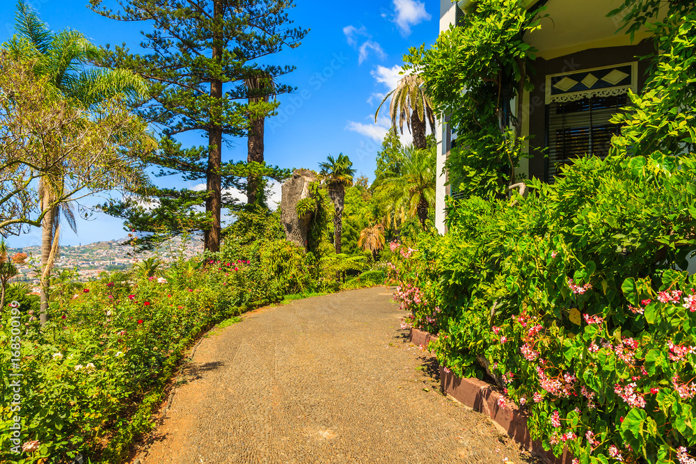 Path in botanical gardens of Funchal town, Madeira island, Portugal
