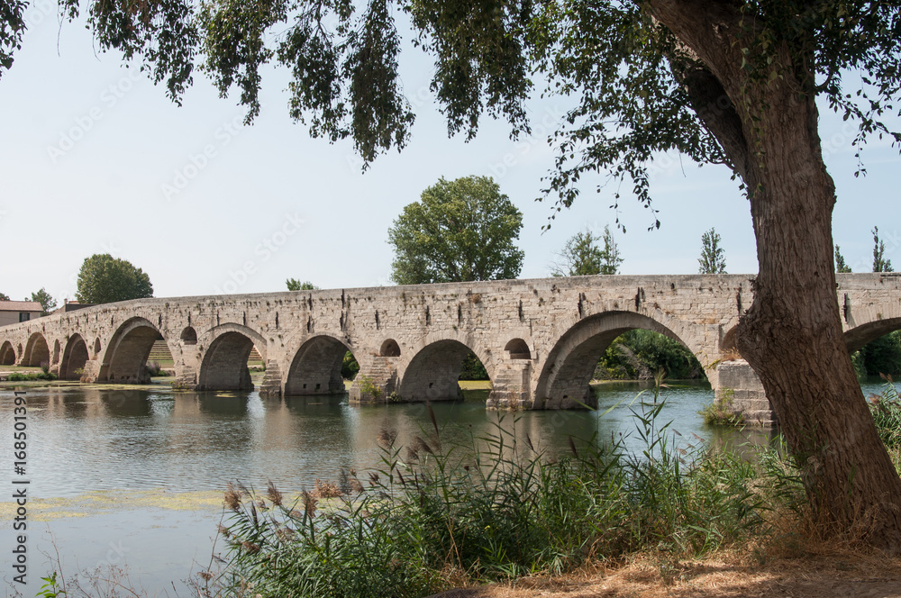 vue de Béziers avec le pont vieux sur l'Orb