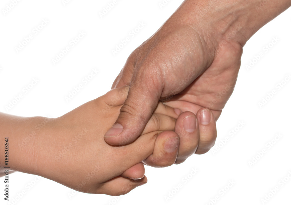 Hand of a child and father on a white background Hand of a child and father on a white background