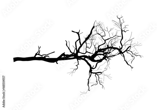Vector Tree Branch