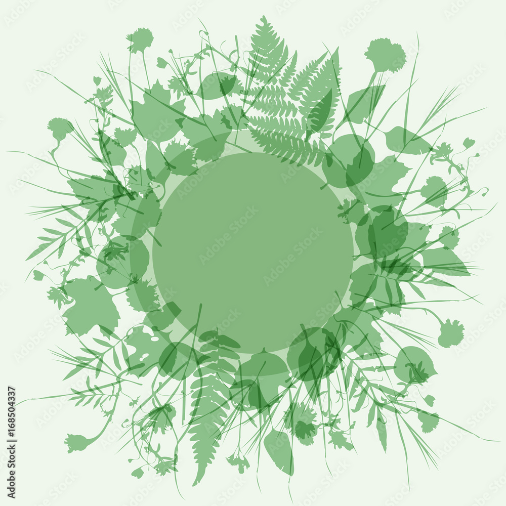 Floral Round Frame Wreath Of Flowers Natural Design Leaves Flowers Elements Spring Summer Design For Invitation Wedding Or Greeting Cards Green Light Green Background Vector Stock Vector Adobe Stock