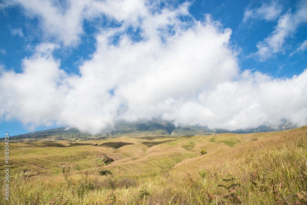 Mountain and savannah field with cloud and blue sky. Rinjani mountain, Lombok island, Indonesia.