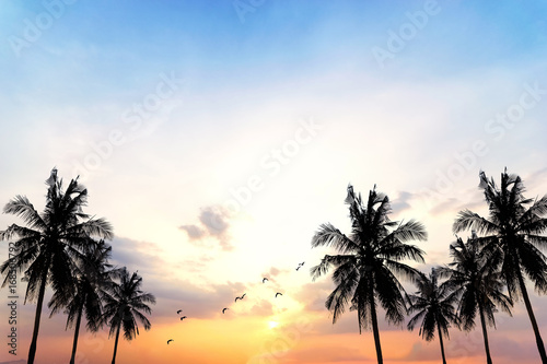 Coconut seaside landscape in the sunset (sunrise),Vintage filters, background silhouettes.